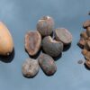 6 Dosen Getreidekaffee-BEVICA