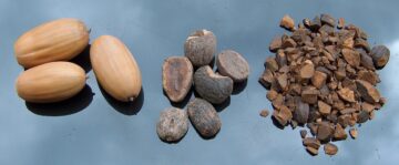 6 Dosen Getreidekaffee-BEVICA
