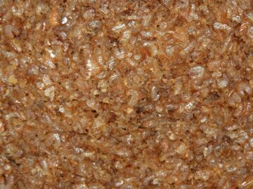 Roggenvollkornbrot, Nahaufnahme Dosenbrot