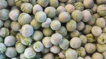 Erbsen premium Fruit/Vegetable Variation
