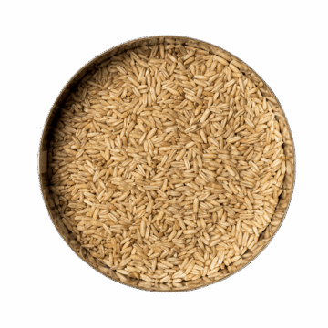 23-haferkerne-draufsicht Oat Grains