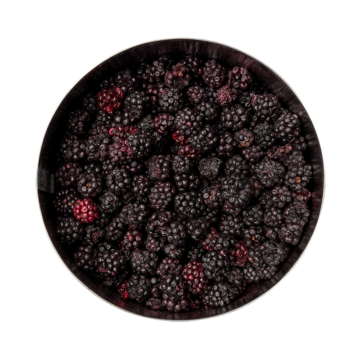4 - 38-brombeeren-wild-draufsicht_800x800px Beeren-Paket-Degustation