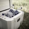 4z7a8447 Petromax Cool Box 25 Litre alpine white