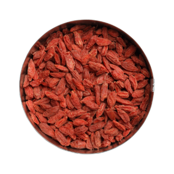 goji-beeren-draufsicht Goji-Beeren Bio