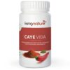 Caye Vida