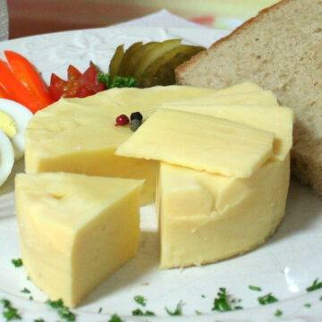 DosenBistro™ Gouda (250g)