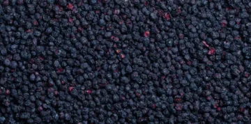 leckker-ps-00-fenster-Blaubeeren-768x380 Bio-Heidelbeeren (wild)